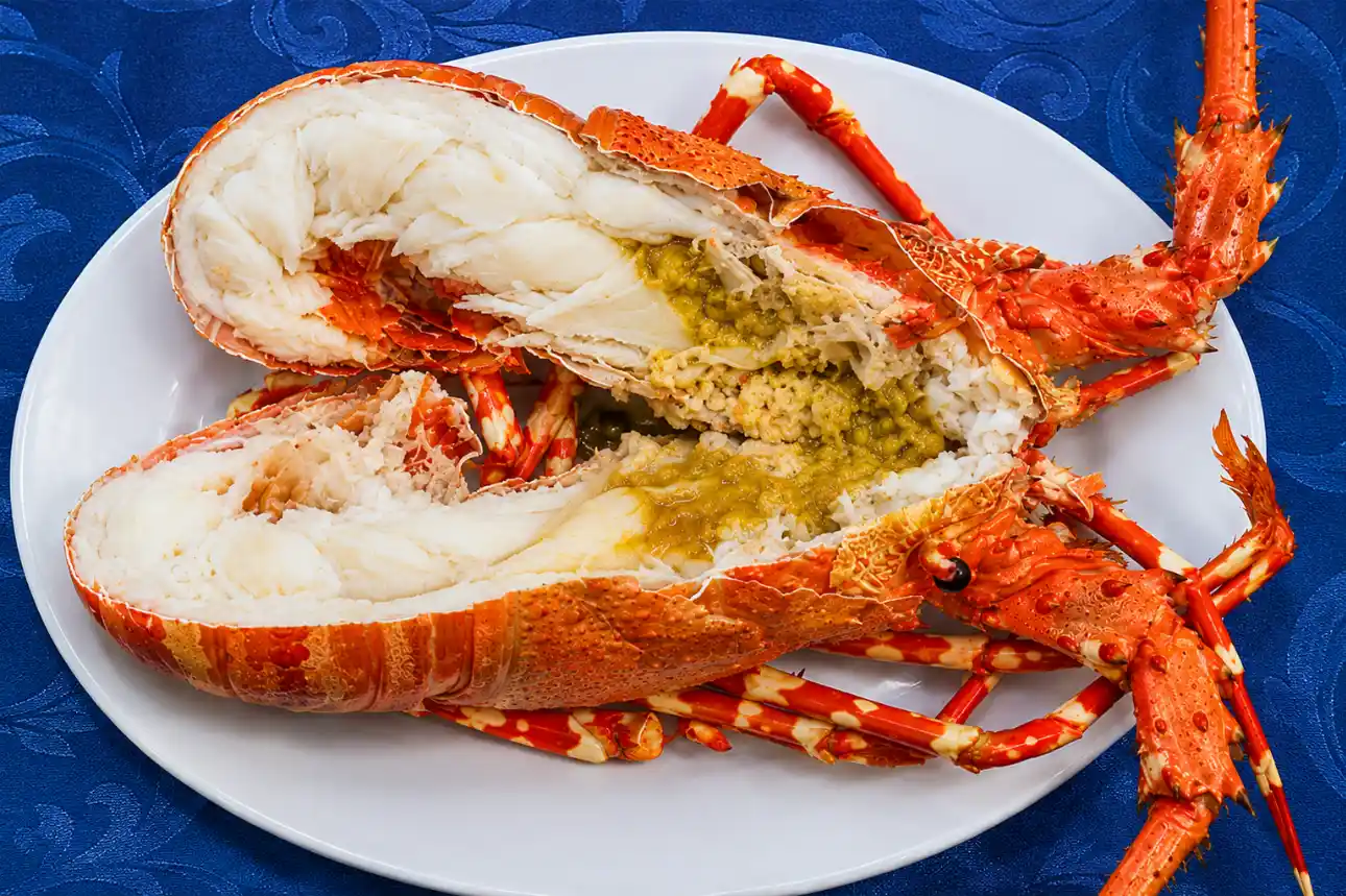Thịt tôm hùm bông giàu protein, omega-3 và khoáng chất tốt cho sức khỏe