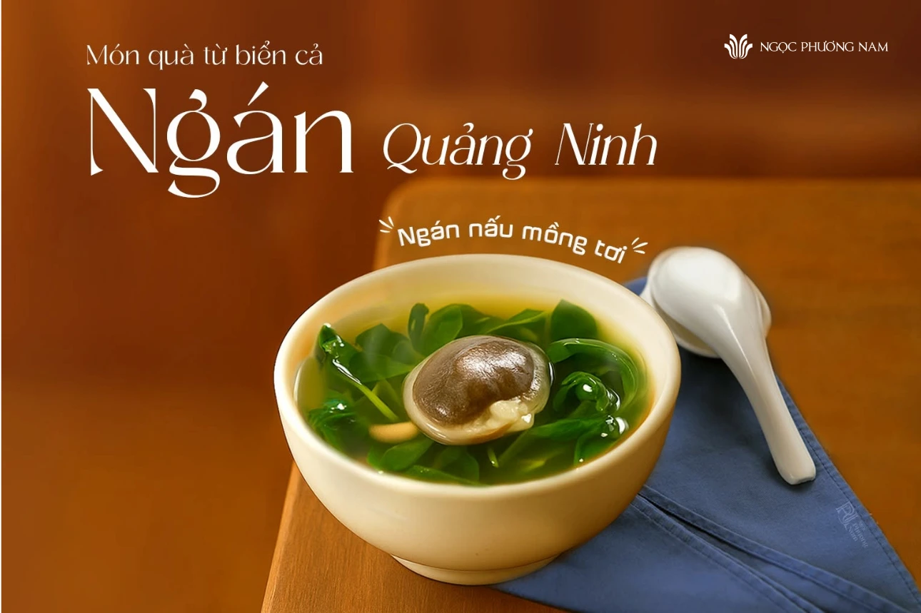 Canh ngán nấu mồng tơi thơm ngon chuẩn vị Hạ Long tại Nhà hàng Ngọc Phương Nam