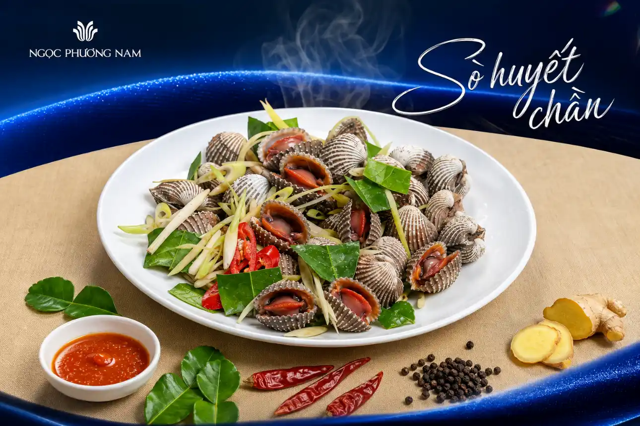Sò huyết chần giữ trọn vị ngọt tự nhiên tại Nhà hàng Ngọc Phương Nam