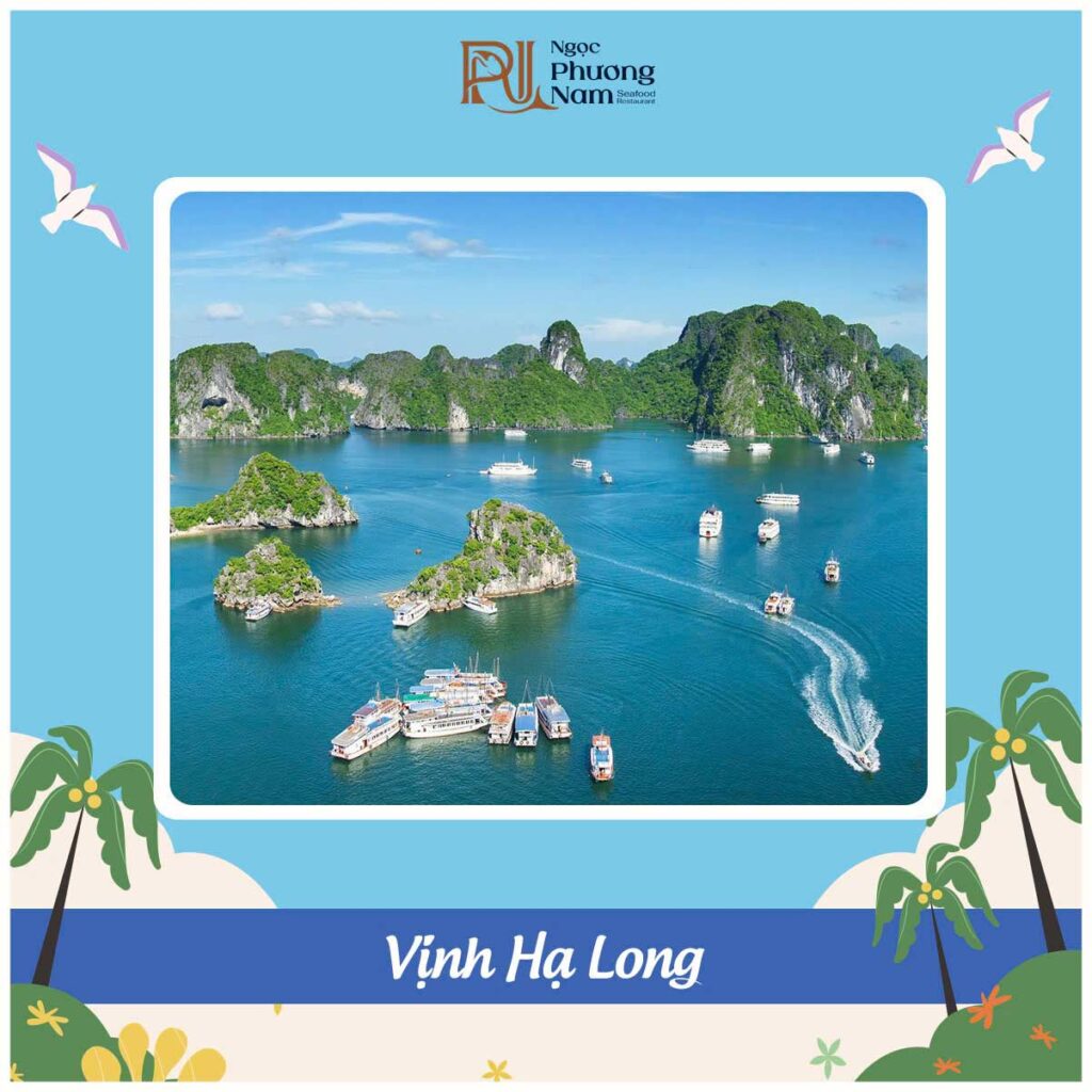 Vịnh Hạ Long